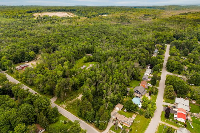 264 PEEK-A-BOO Trail