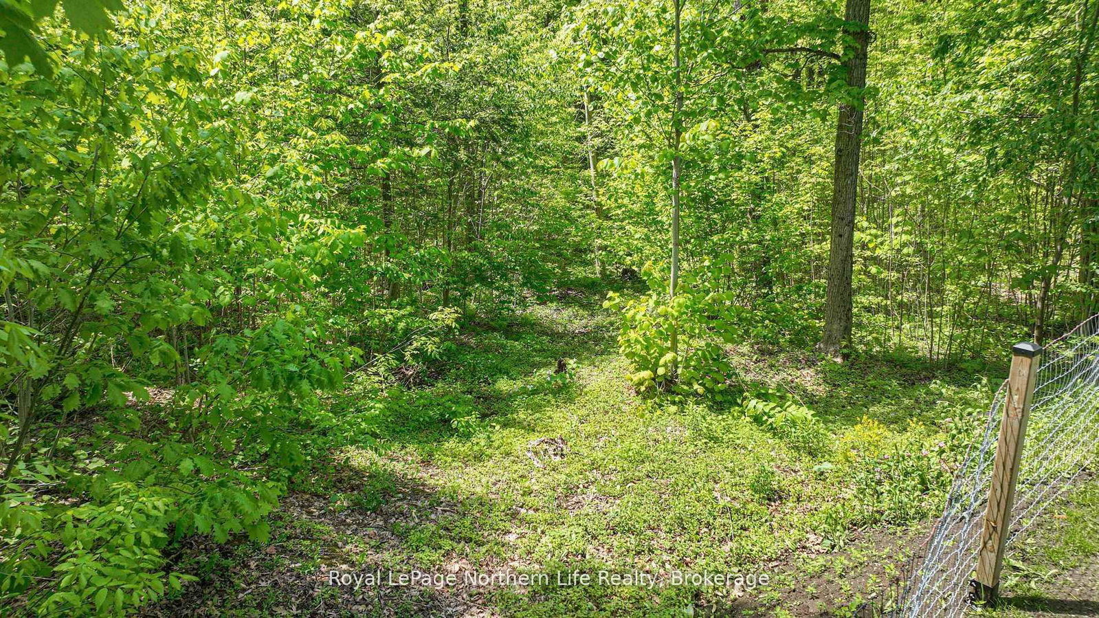 Listing Image 49
