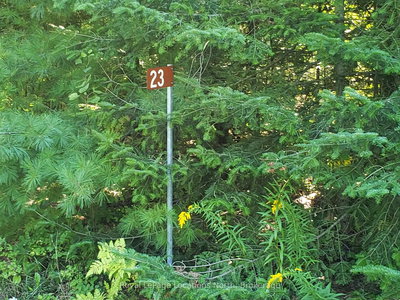 23 Stoney Rd | Tiny | Image