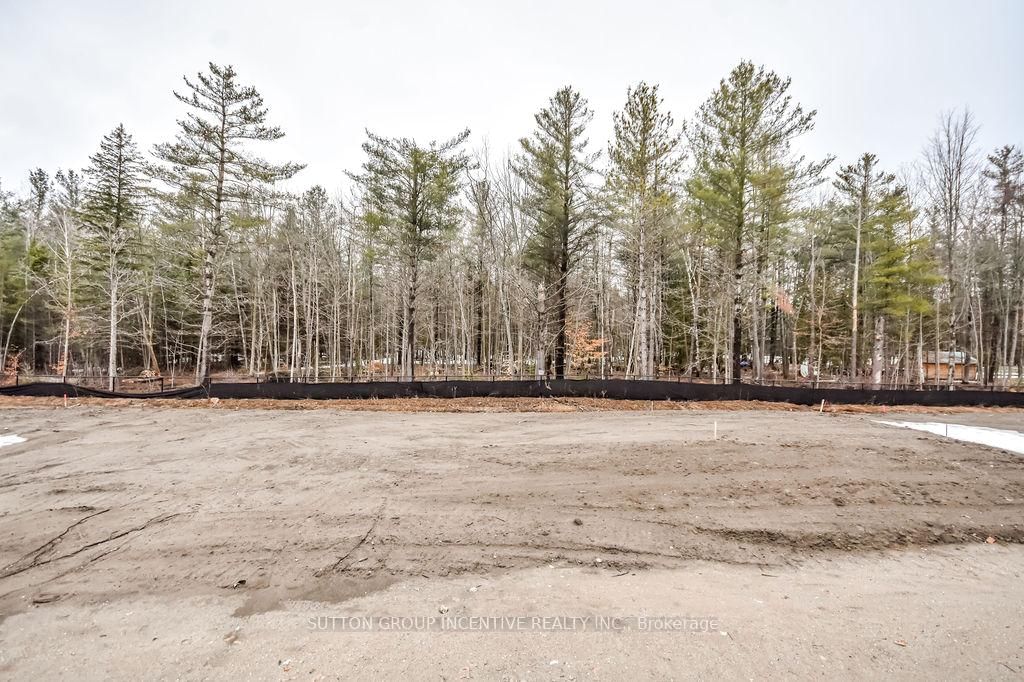 10 Cottonwood Street • Springwater, ON photo 24