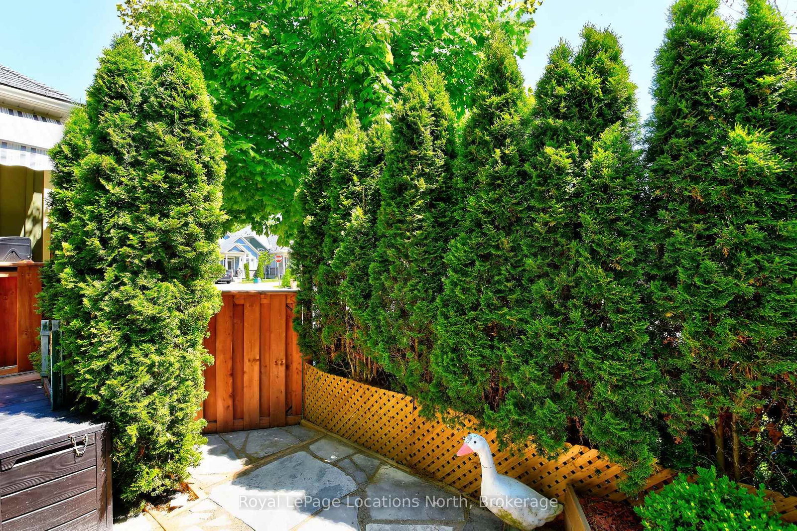 60 SAVANNAH Crescent - Photo 29