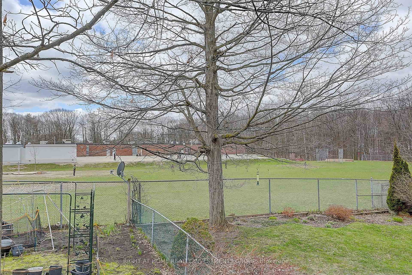 Detached House for sale at 143 Springdale Drive, Barrie, Ontario, L4M 4Y1 - Cundles East - MLS: S12969060