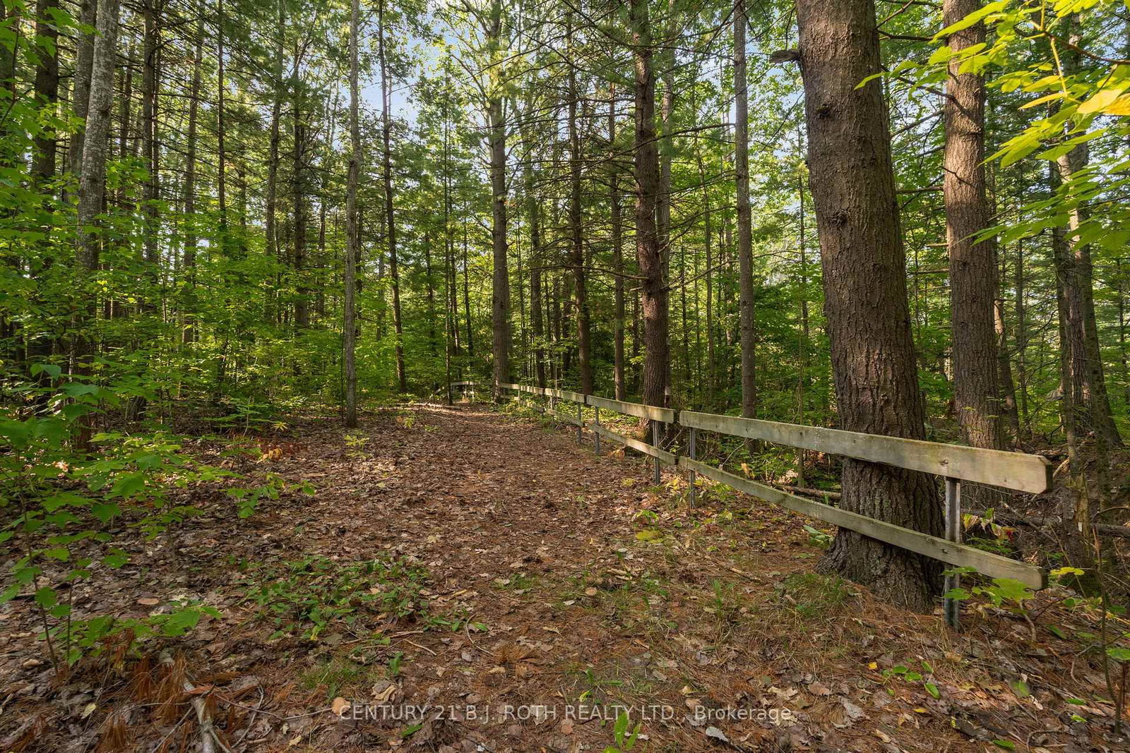 Detached House for sale at 2710 Portage Trail, Springwater, Ontario, L9X 0J3 - Rural Springwater - MLS: S12969506