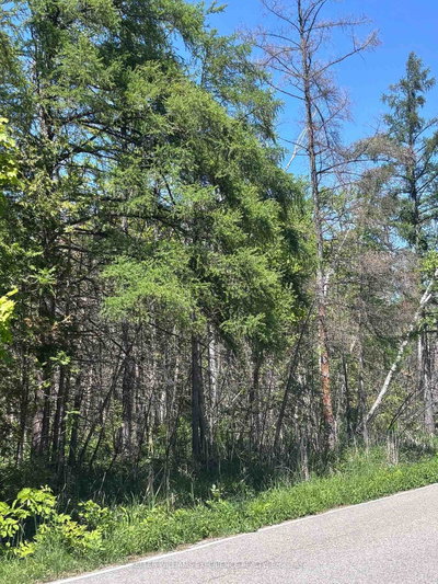 1382 Wilson Point Road • Orillia, ON photo 3