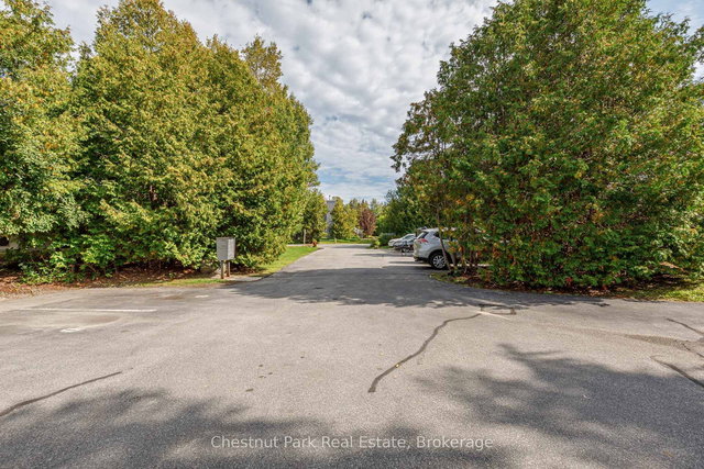 407 - 12 Dawson Drive