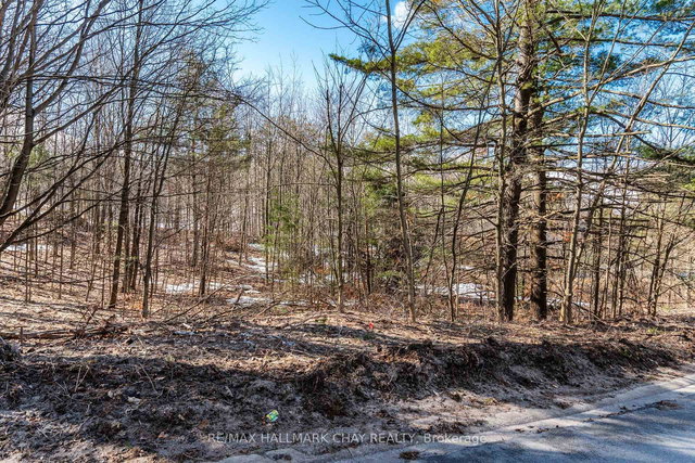 19 Birch Grove Drive