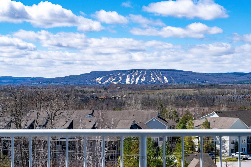 901 - 24 Ramblings Way, Collingwood, L9Y 5C6 | Image 3