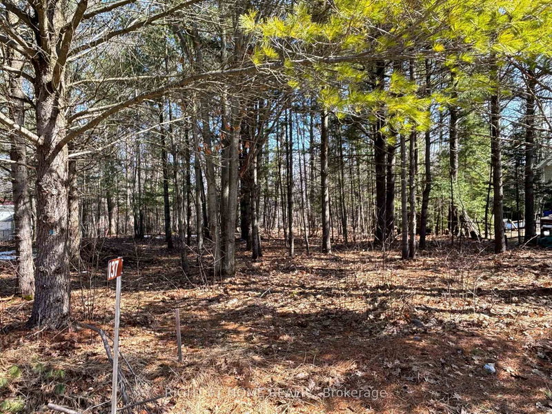 137 NICOLE Blvd, Tiny, L0L 2T0 | Image 3