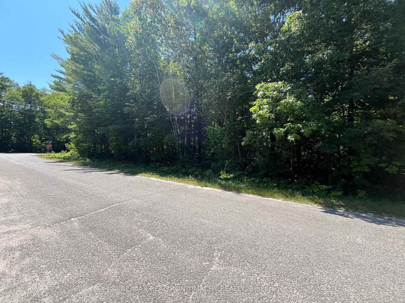 Lot 89 Vincent Circ, Tiny, L0L 2T0 | Image 3