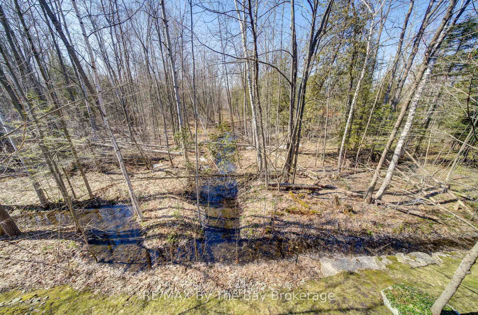 16 Westbury Road, Unit 202 - Photo 19