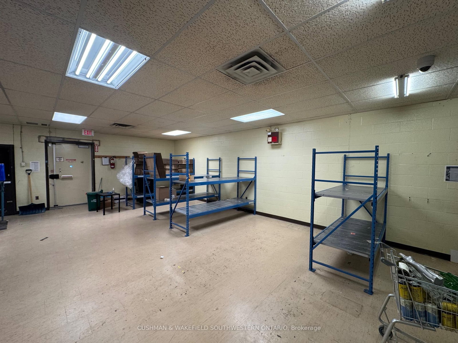 204 Beech Street - Photo 10