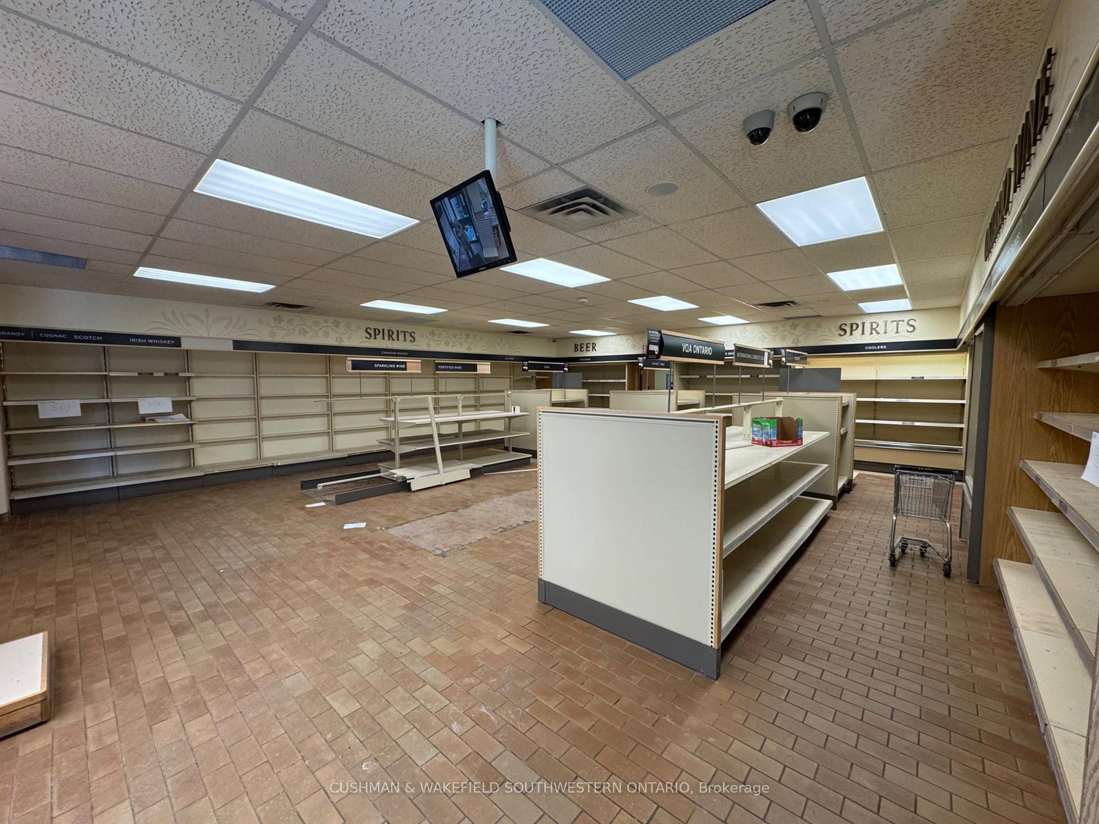 204 Beech Street - Photo 8