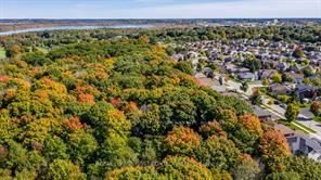 9 Little Lake Drive - Photo 35