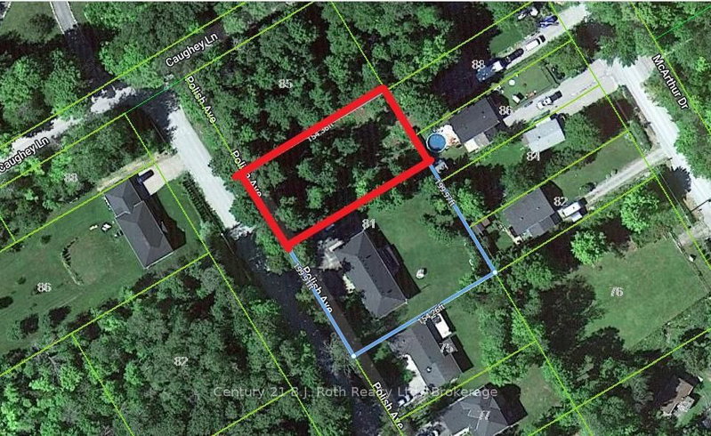 81 Polish Avenue