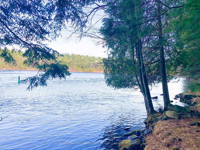 3197 Severn River, Severn