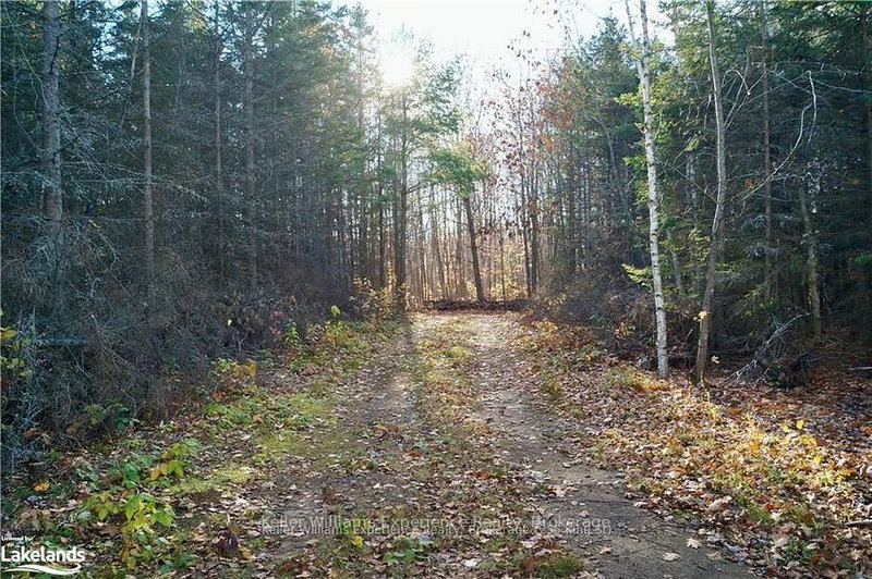 PL 20 Concession 18 W photo 4