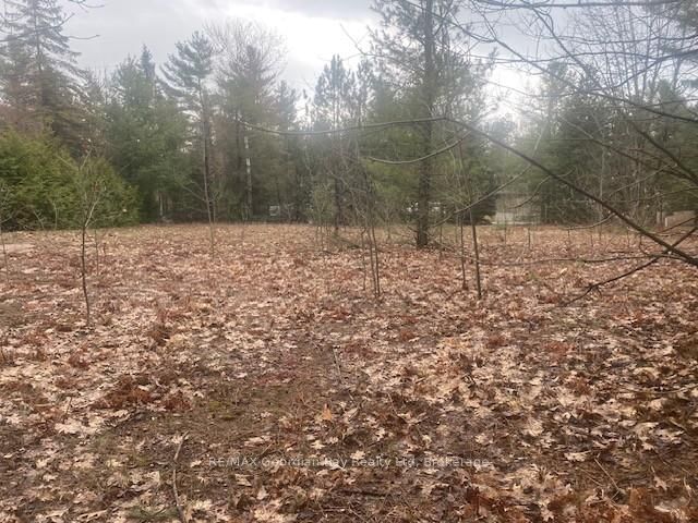 Lot 514 Tall Pines Drive