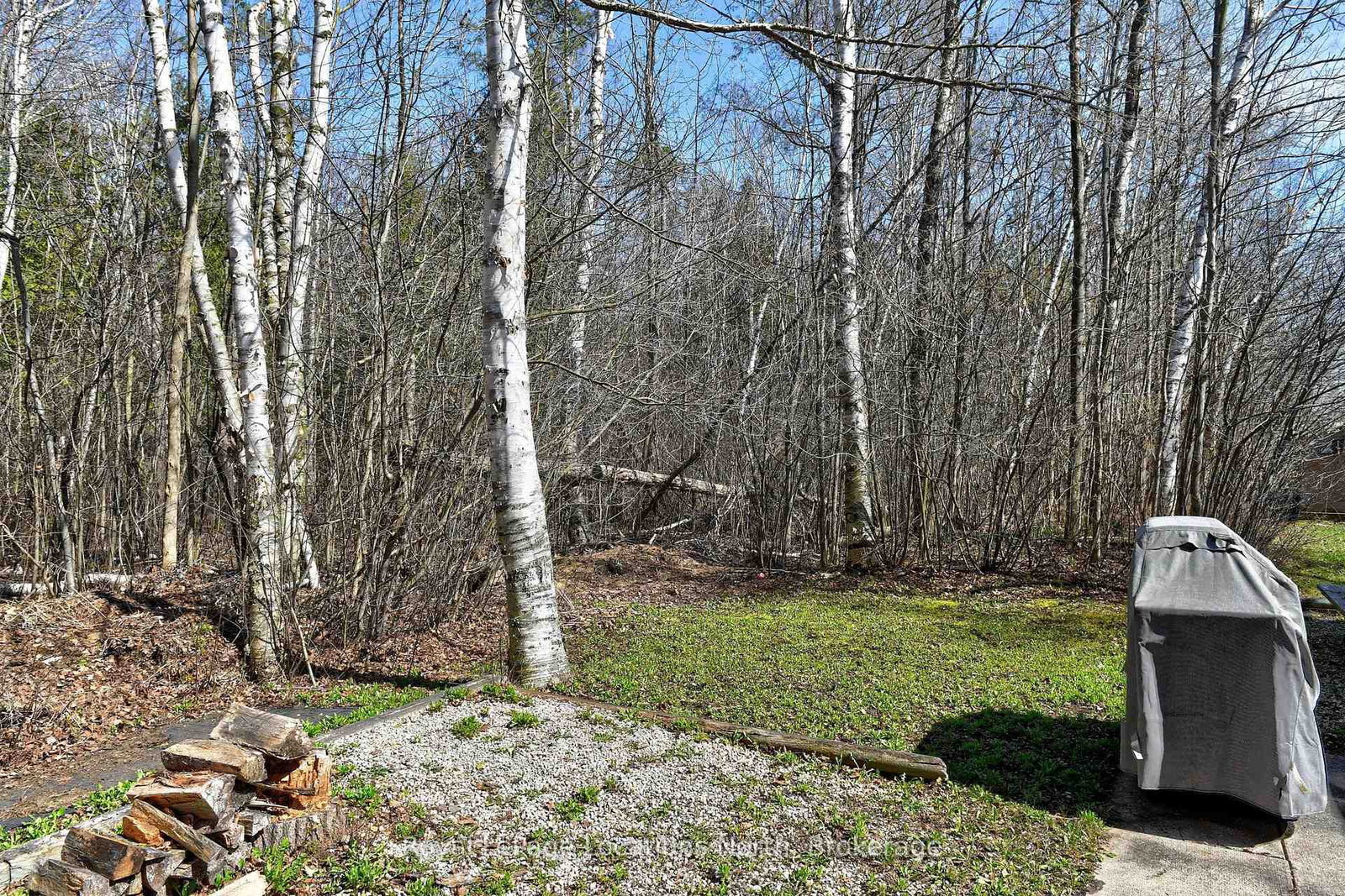 2 Wasaga Pines Lane E • Springwater, ON photo 19