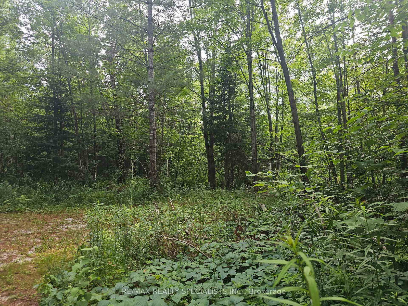 3878 Cambrian Road • Severn, ON photo 25