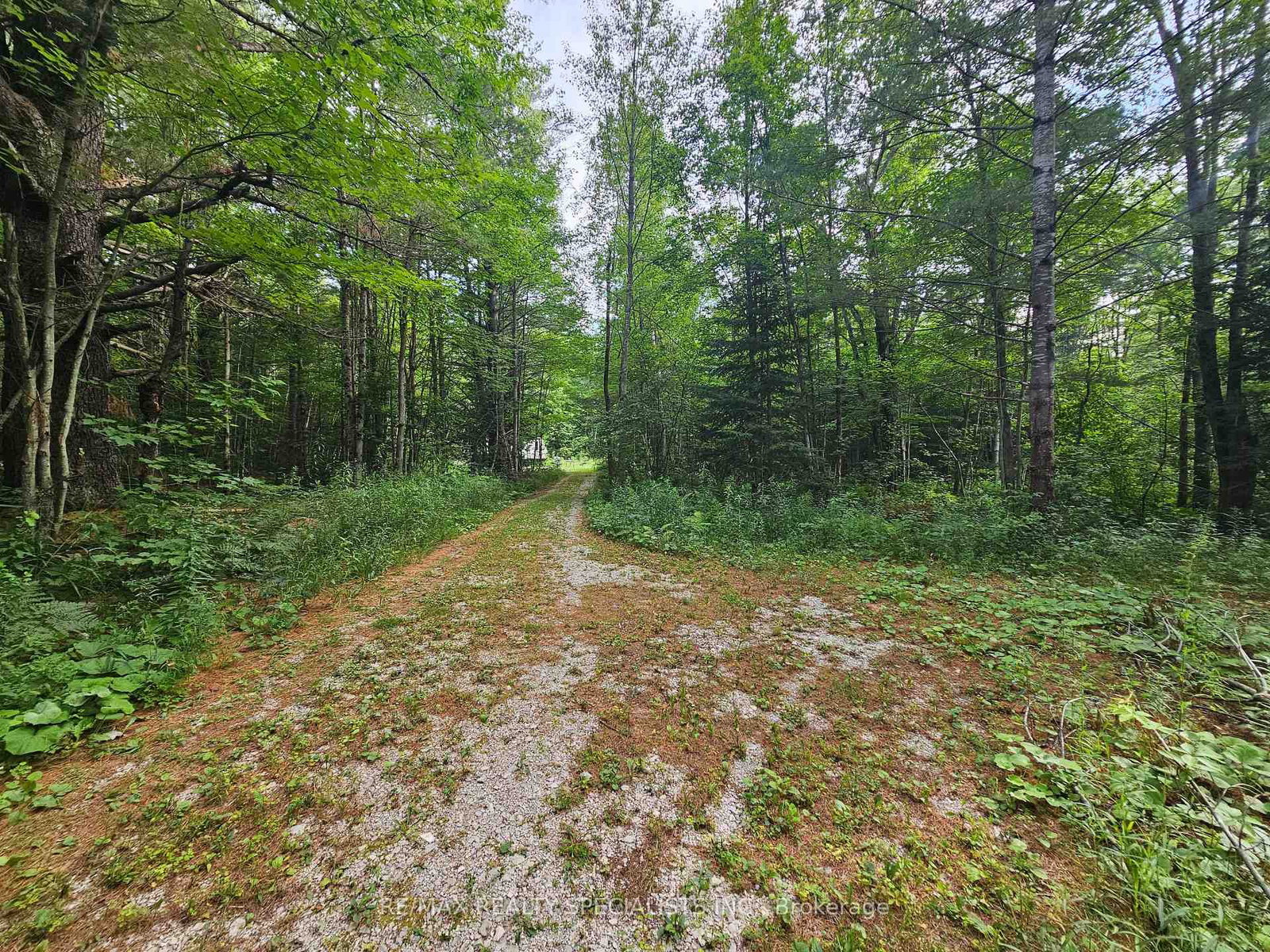 3878 Cambrian Road • Severn, ON photo 26