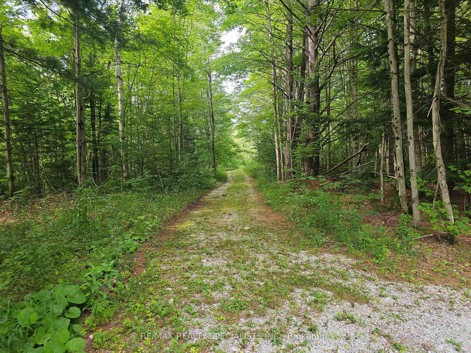 3878 Cambrian Road • Severn, ON photo 9