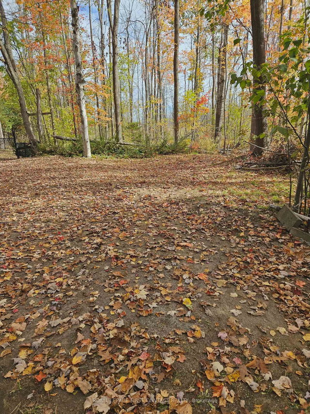 3040 Grass Lake Line