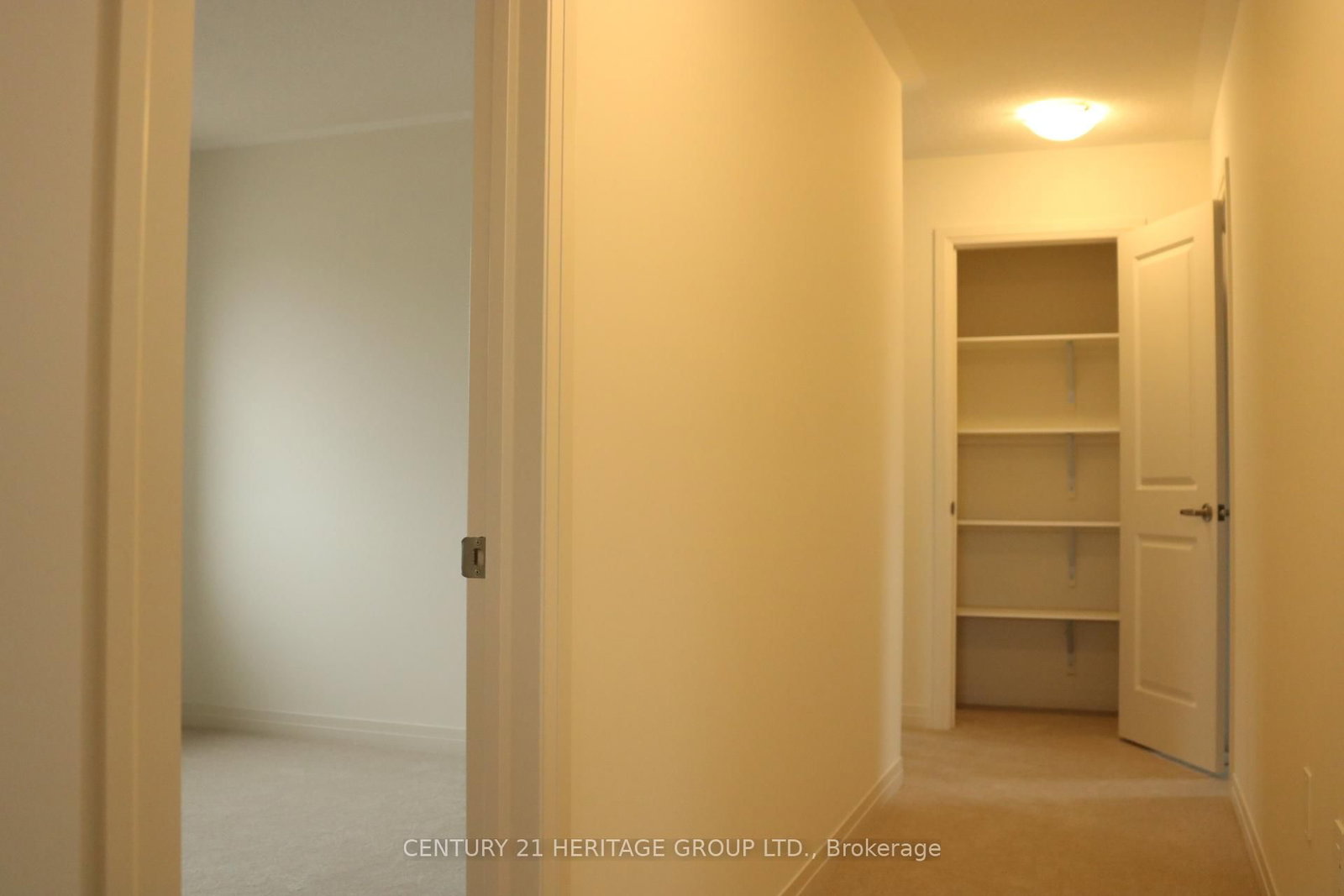 37 Stockholm Road - Photo 8