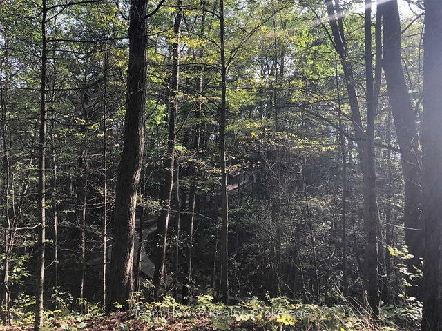 358 Golf Course Road