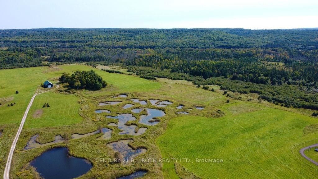 253 Craig Side Road • Oro-Medonte, ON photo 30