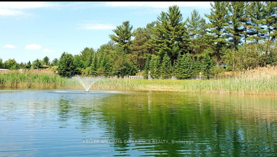 5216 County 90 Road • #65 • Springwater, ON photo 11