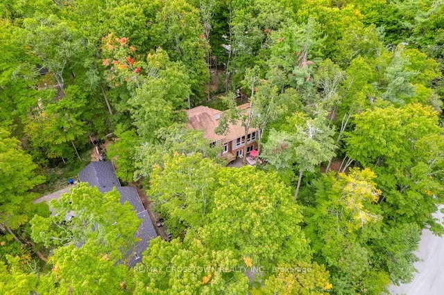 10 Beechwood Road
