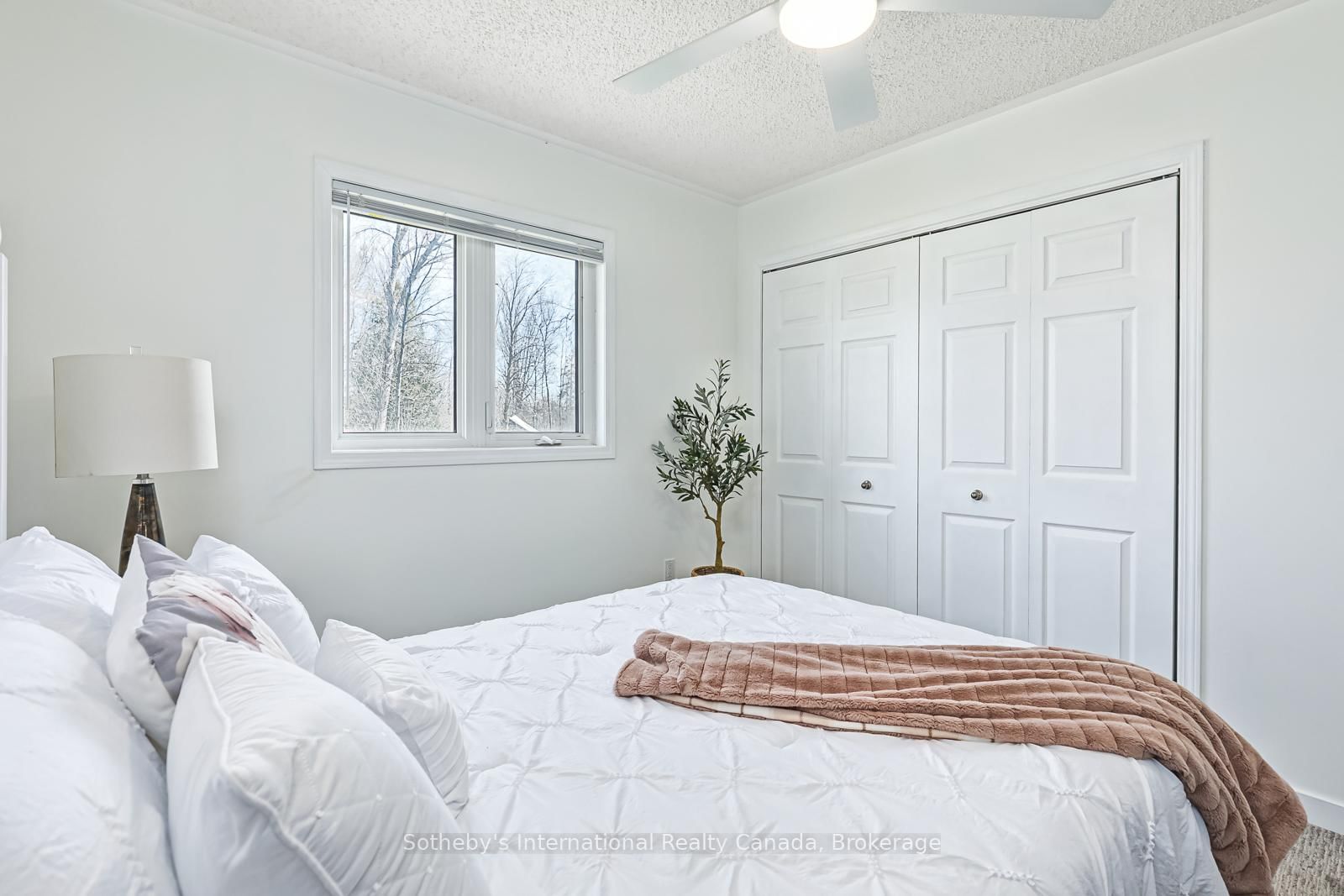 11 Stalker Street • Collingwood, ON photo 18