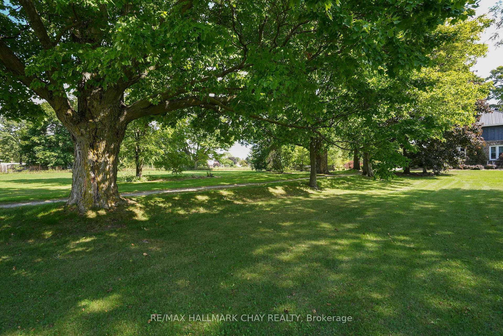 2473 RONALD Road • Springwater, ON photo 46