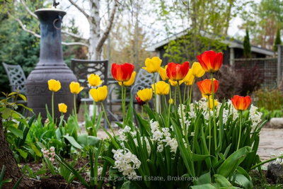 82 Stanley Street • Collingwood, ON photo 4
