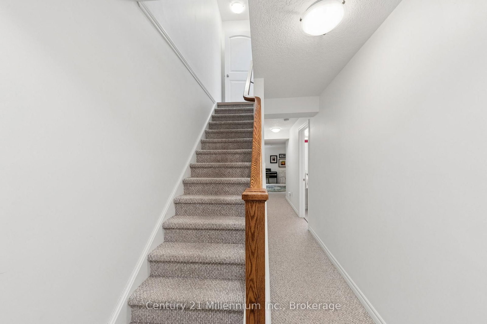 13 Conservation Way • Collingwood, ON photo 22