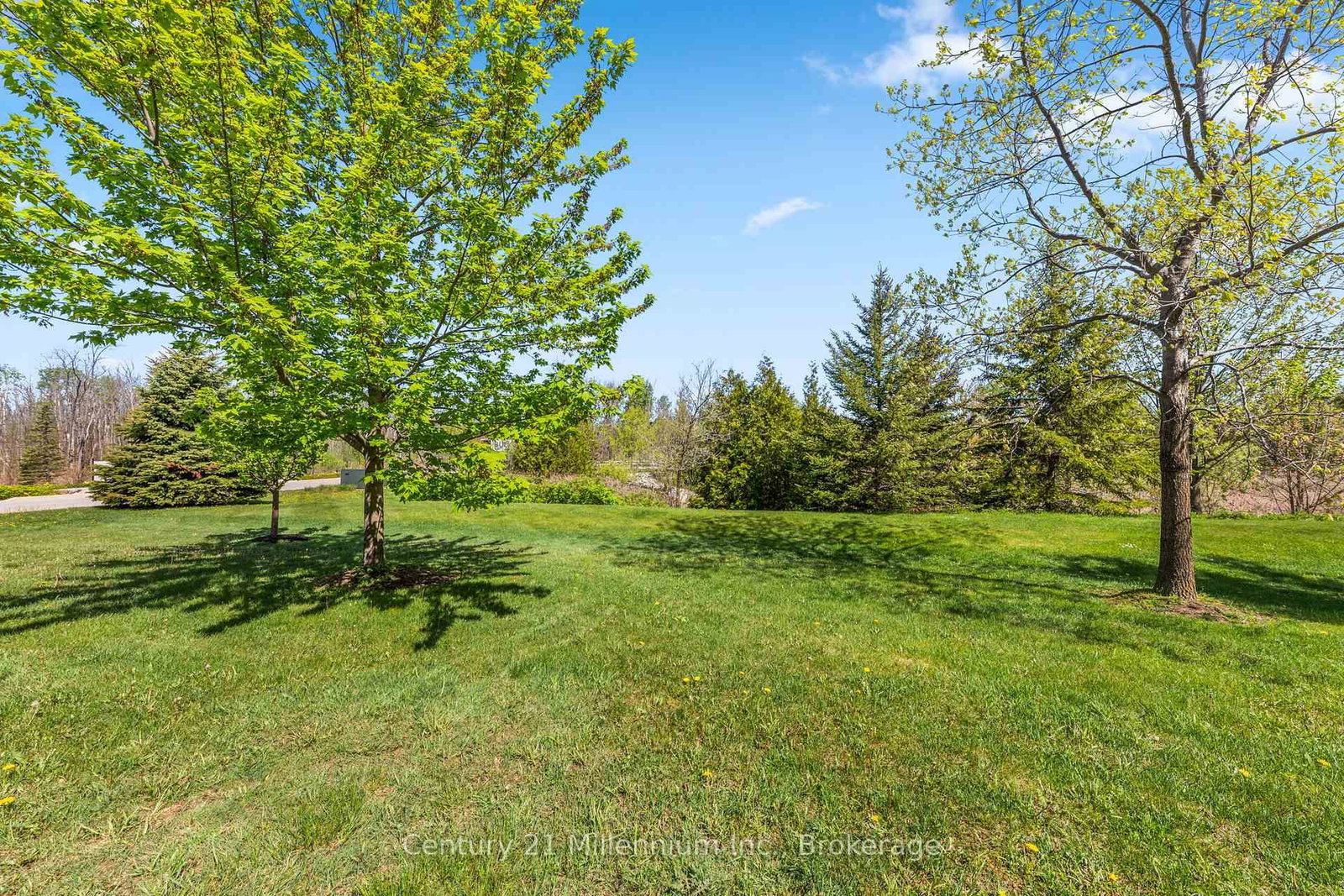 13 Conservation Way • Collingwood, ON photo 33