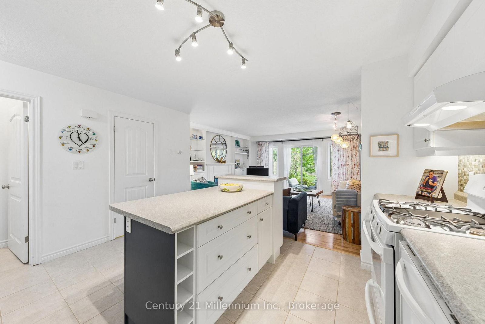 13 Conservation Way • Collingwood, ON photo 5