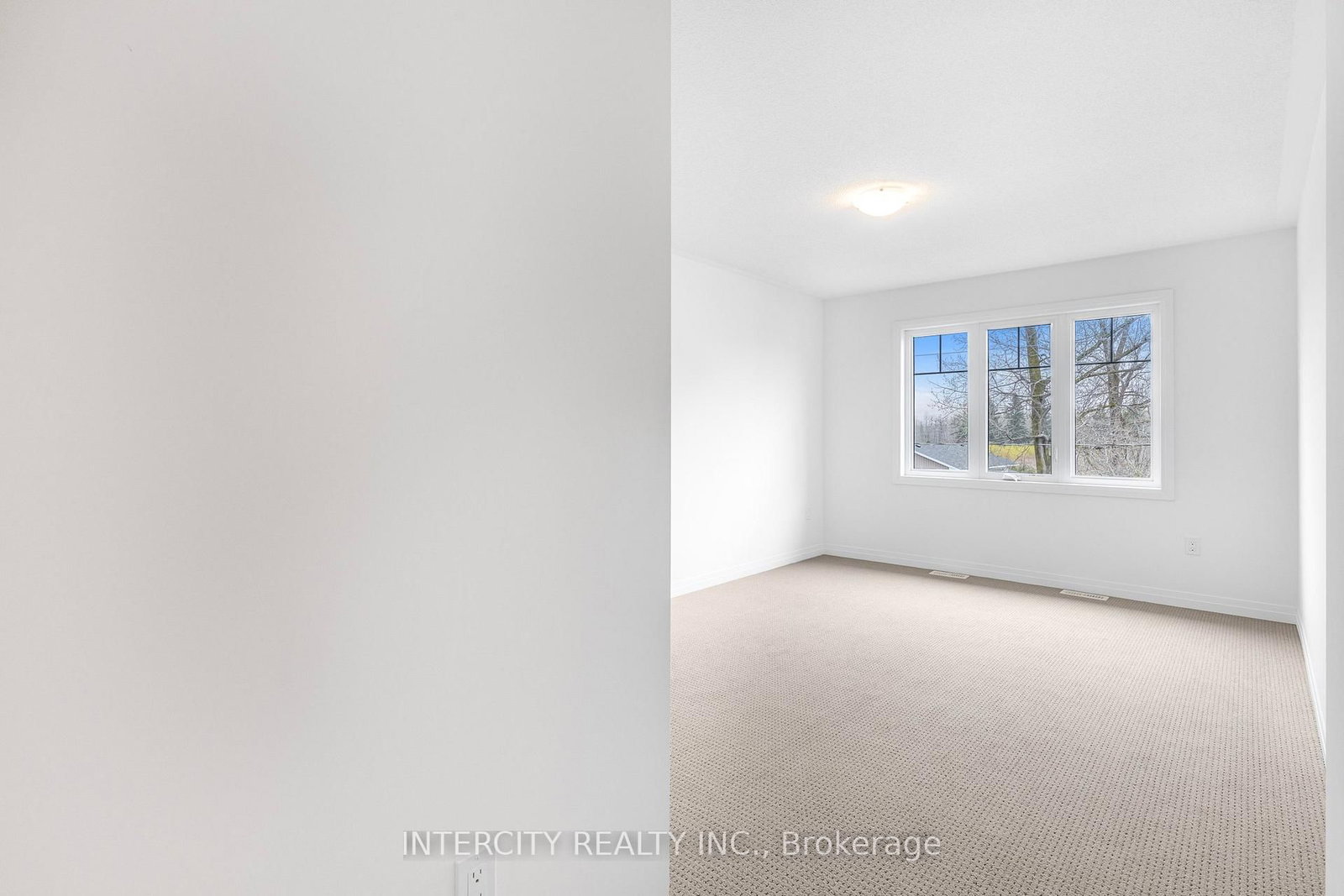345 Quebec Street • Clearview, ON photo 25