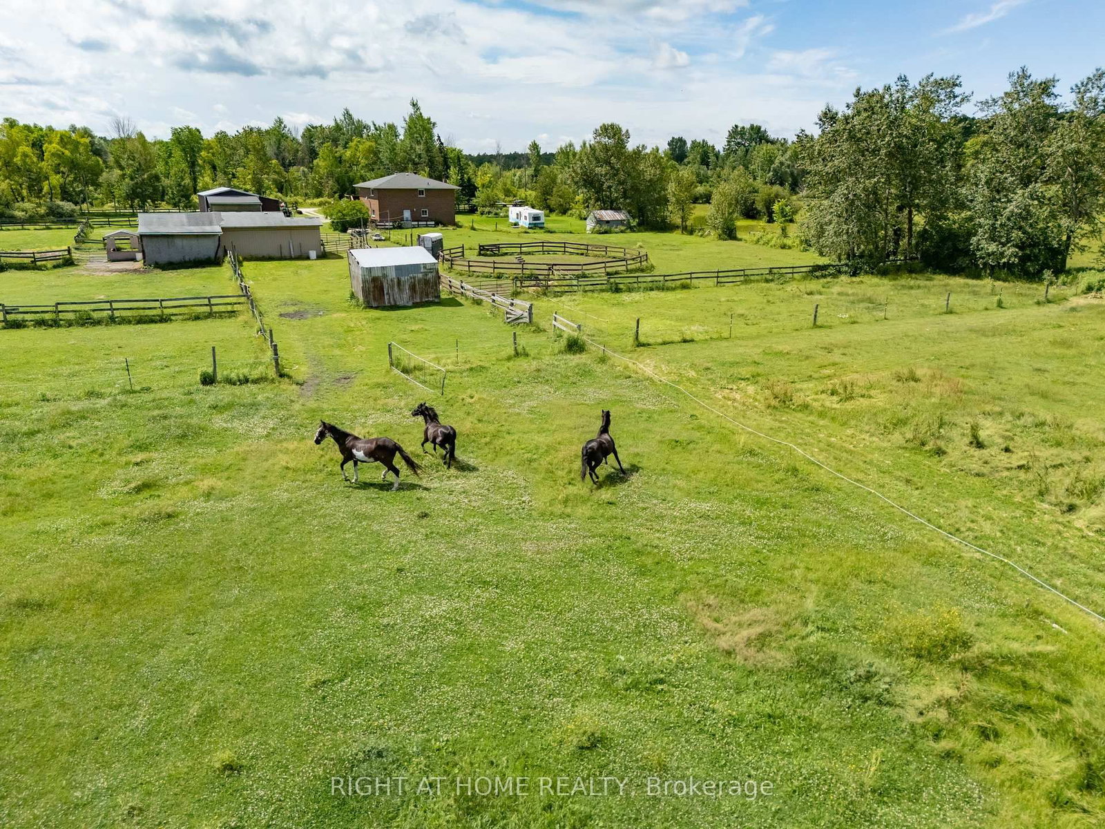 5896 Sunnidale Concession 5 Road • Clearview, ON photo 20
