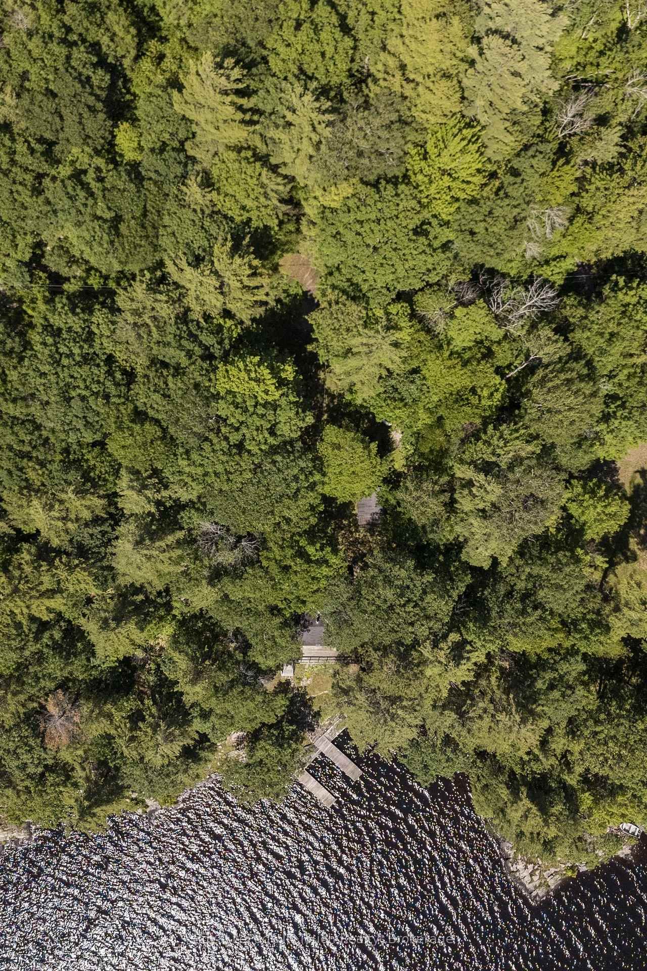 2910 MacLean Lake North Shore Road • Severn, ON photo 28