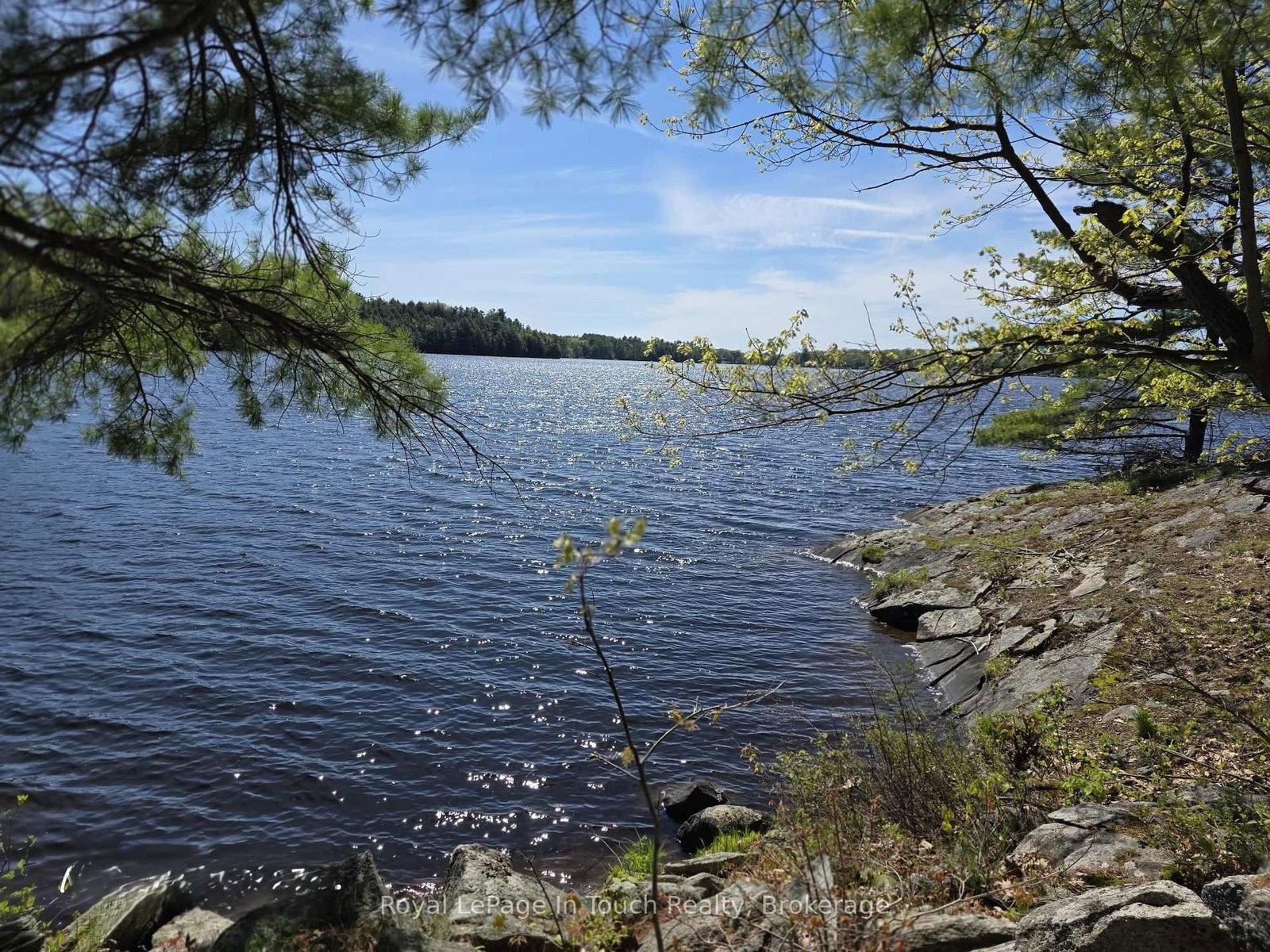 2910 MacLean Lake North Shore Road • Severn, ON photo 9