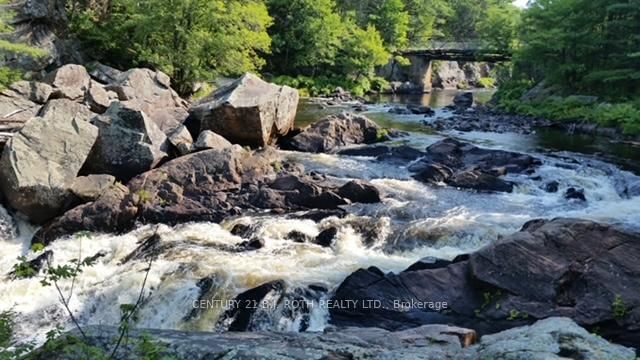 8101 Kings River Road