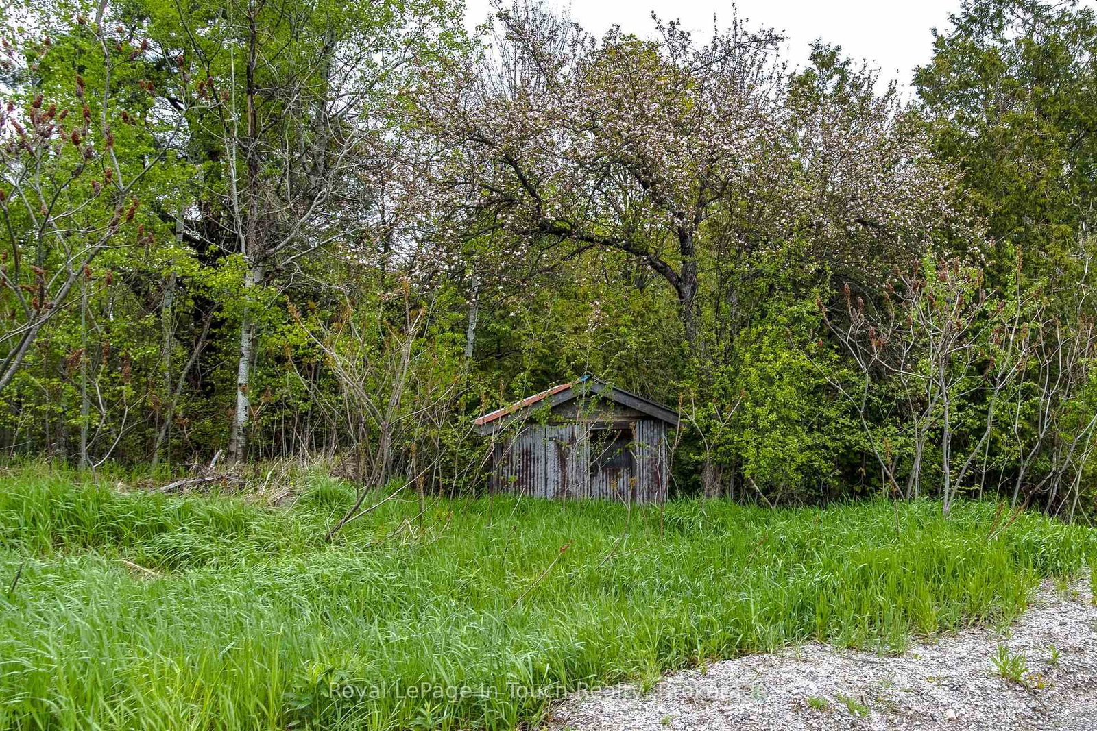 Lot 1 Thunder Beach Road • Tiny, ON photo 10