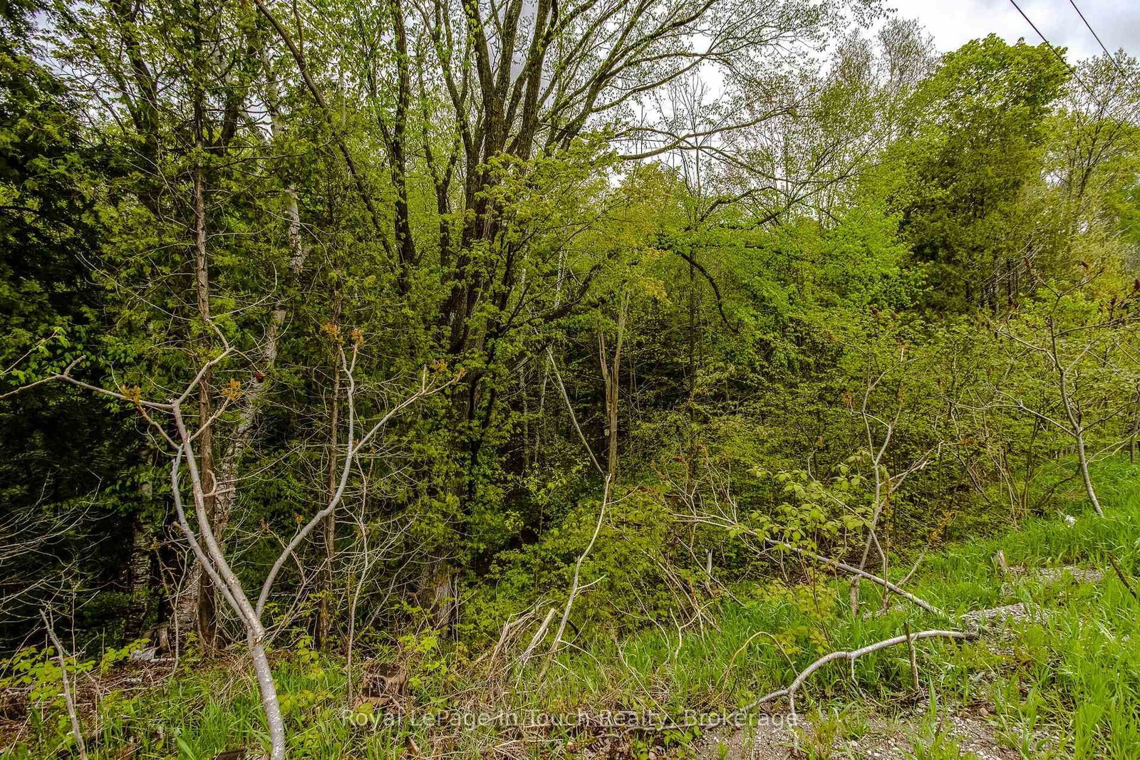 Lot 1 Thunder Beach Road • Tiny, ON photo 11