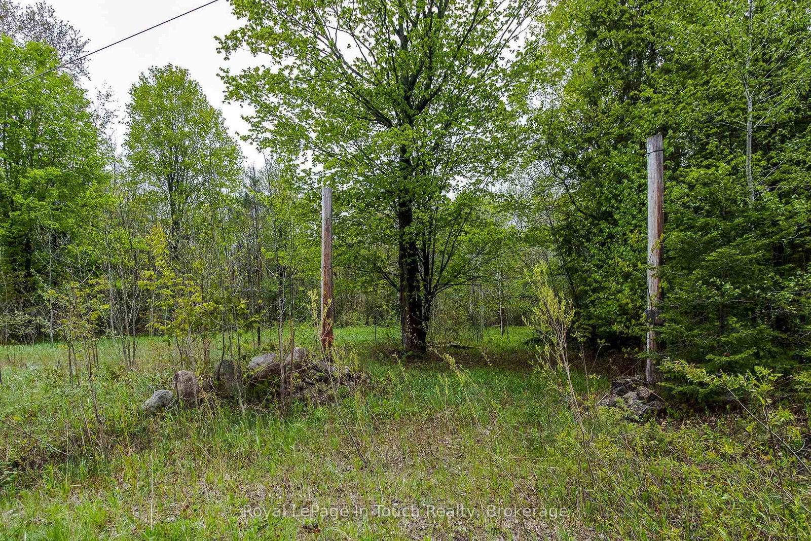 Lot 2 Thunder Beach Road • Tiny, ON photo 11