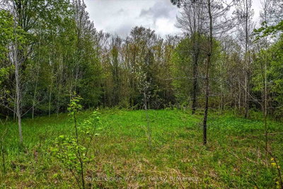 Lot 2 Thunder Beach Road • Tiny, ON photo 9