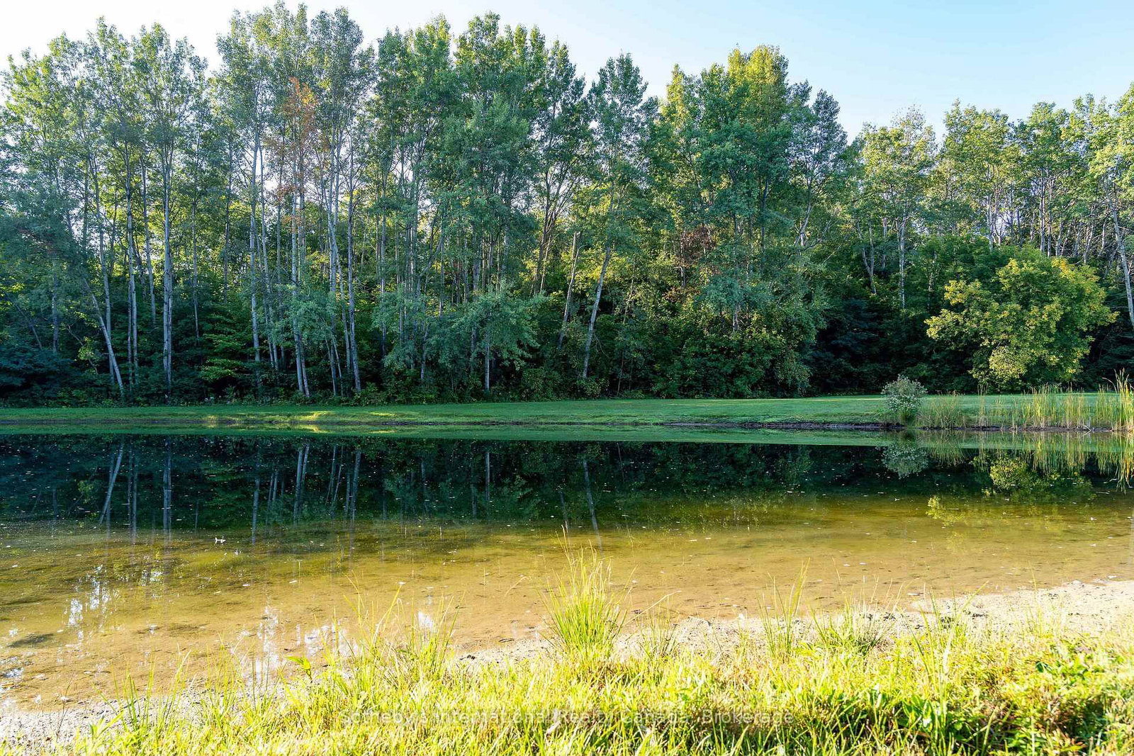 7781 Poplar Side Road • Clearview, ON photo 49