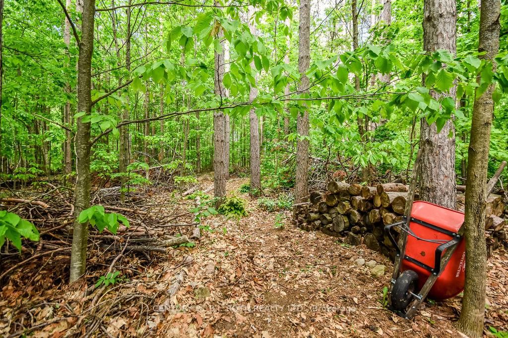 33 Reilly's Run • Springwater, ON photo 45
