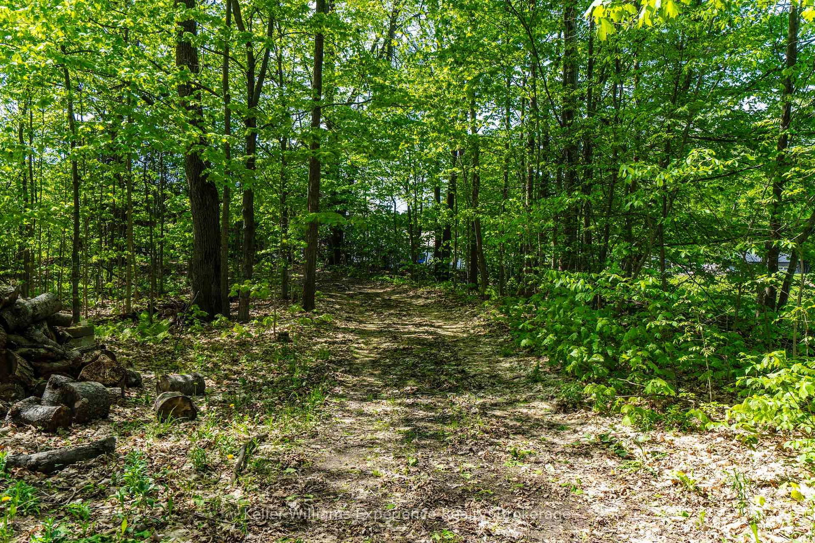 2555 Hodgins Road • Severn, ON photo 27