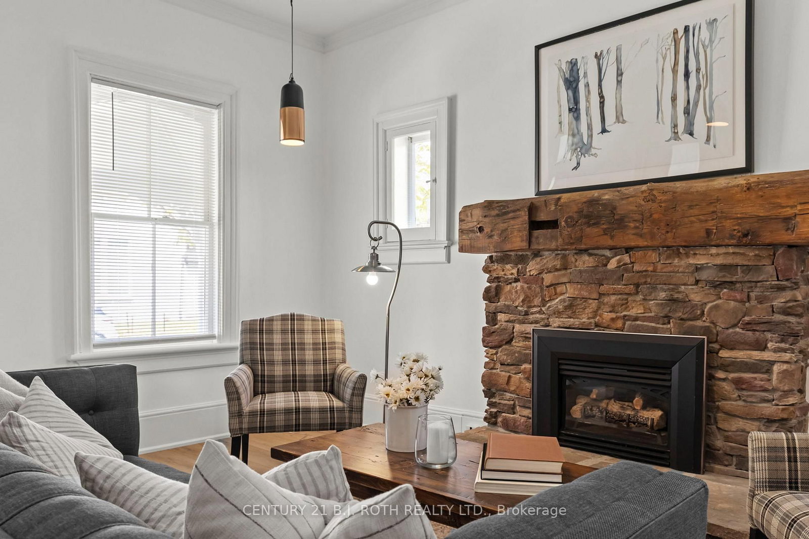 13 Nelson Square E • Barrie, ON photo 8